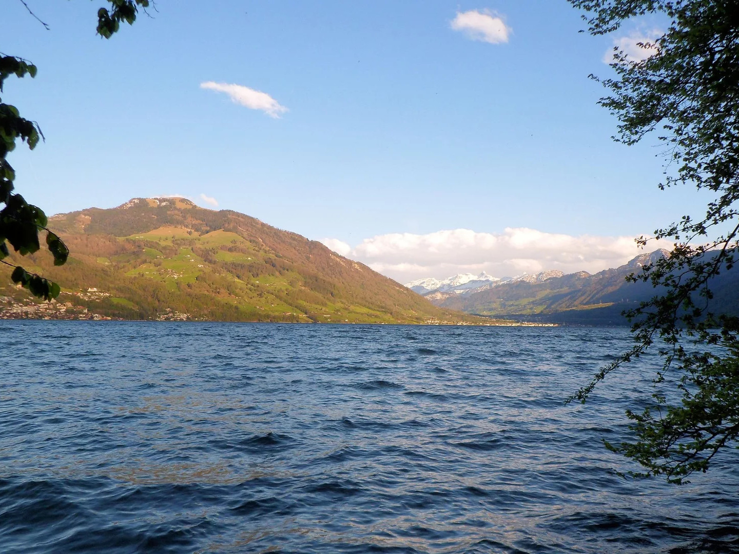 Zuger See, Baumgärtli